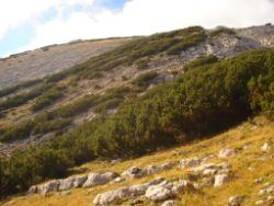 2013-10-08_Guffert (121).JPG